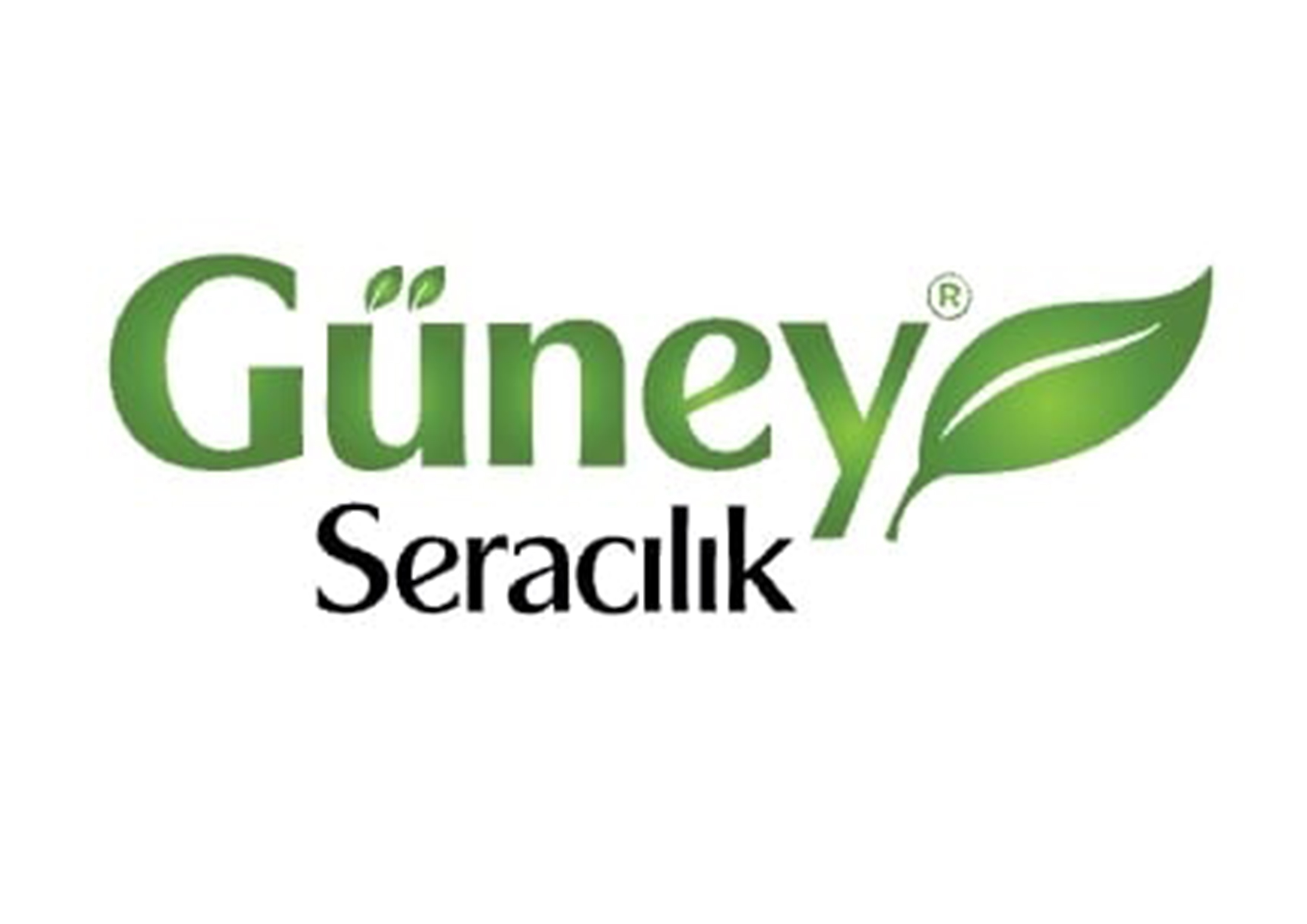 Turkey Partner Logo