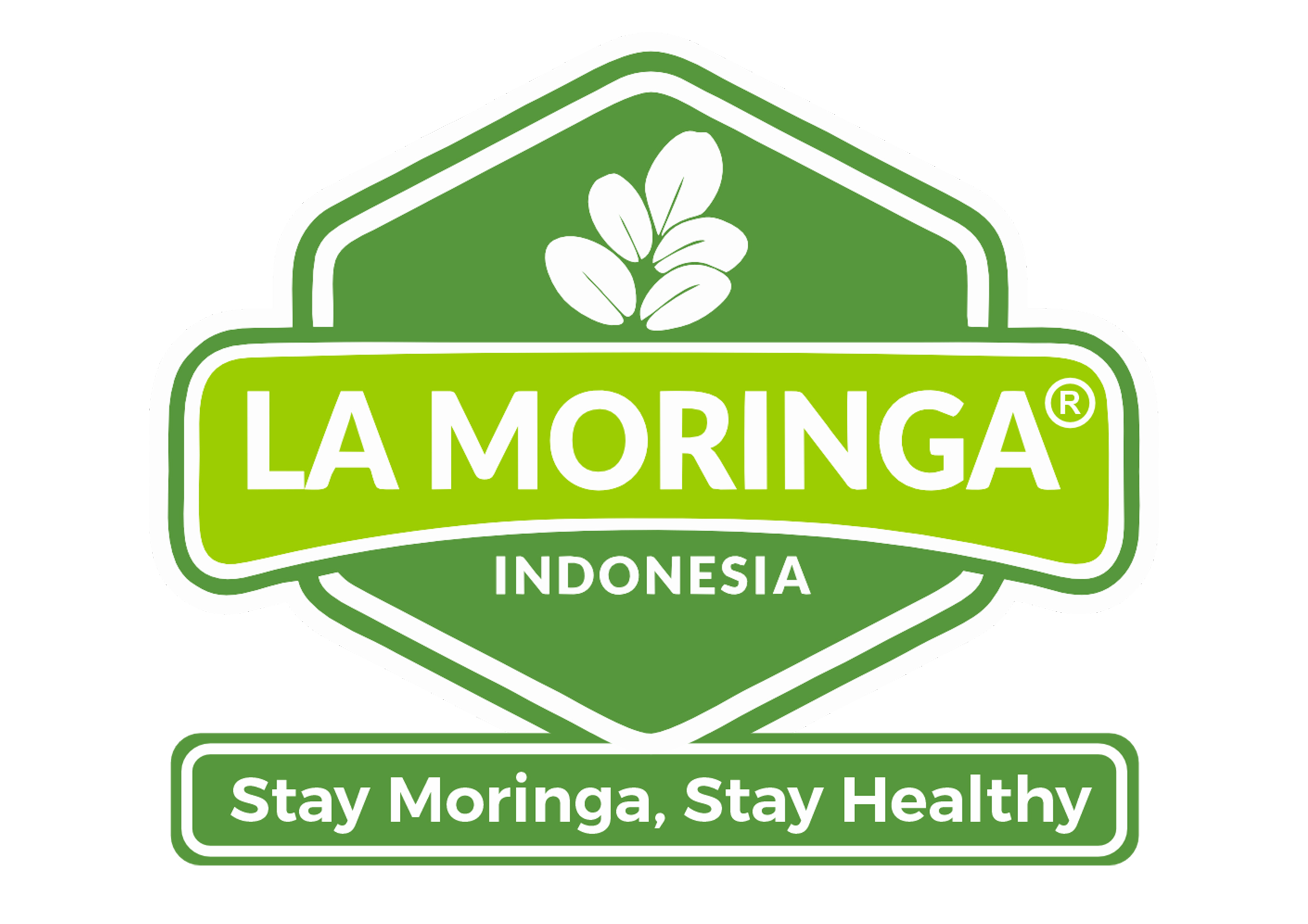 Indonesia Partner Logo